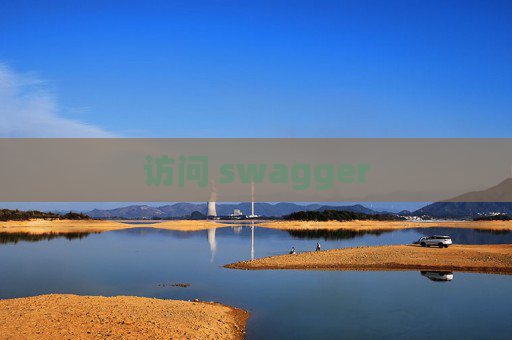 访问 swagger